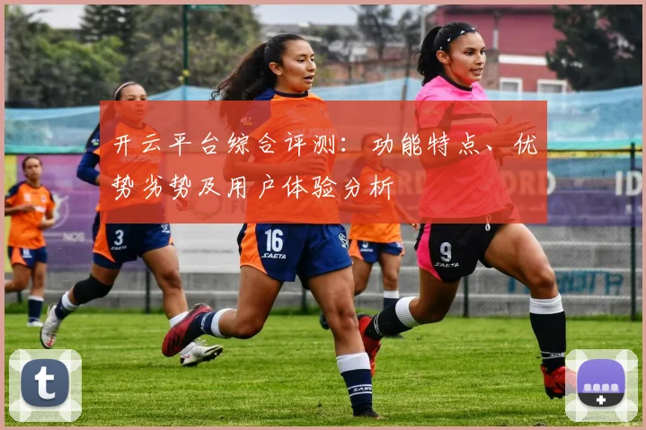 开云平台综合评测：功能特点、优势劣势及用户体验分析