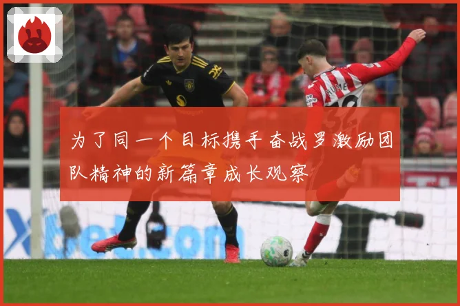 为了同一个目标携手奋战罗激励团队精神的新篇章成长观察