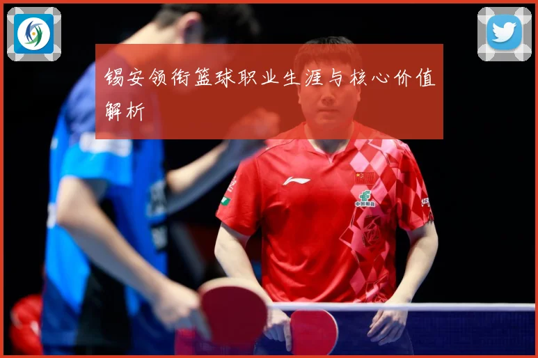 锡安领衔篮球职业生涯与核心价值解析