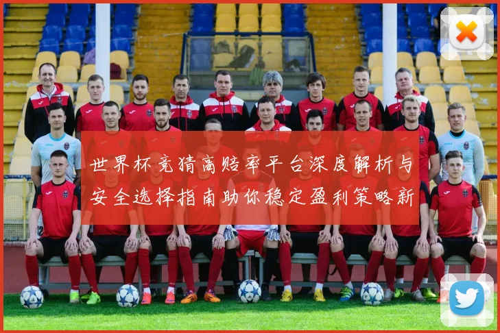 世界杯竞猜高赔率平台深度解析与安全选择指南助你稳定盈利策略新思路