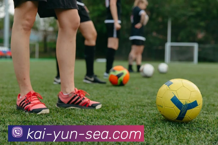 开云平台展示图