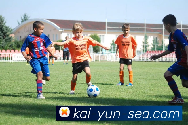 开云官网全站App